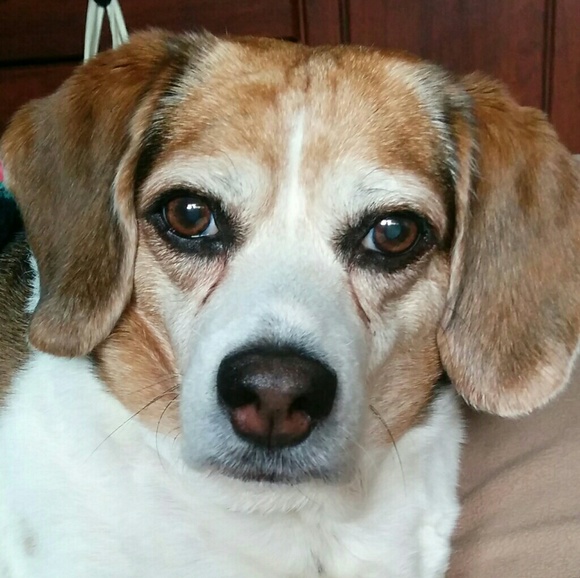 Meet your Posher, Starr - Picture 2 of 2